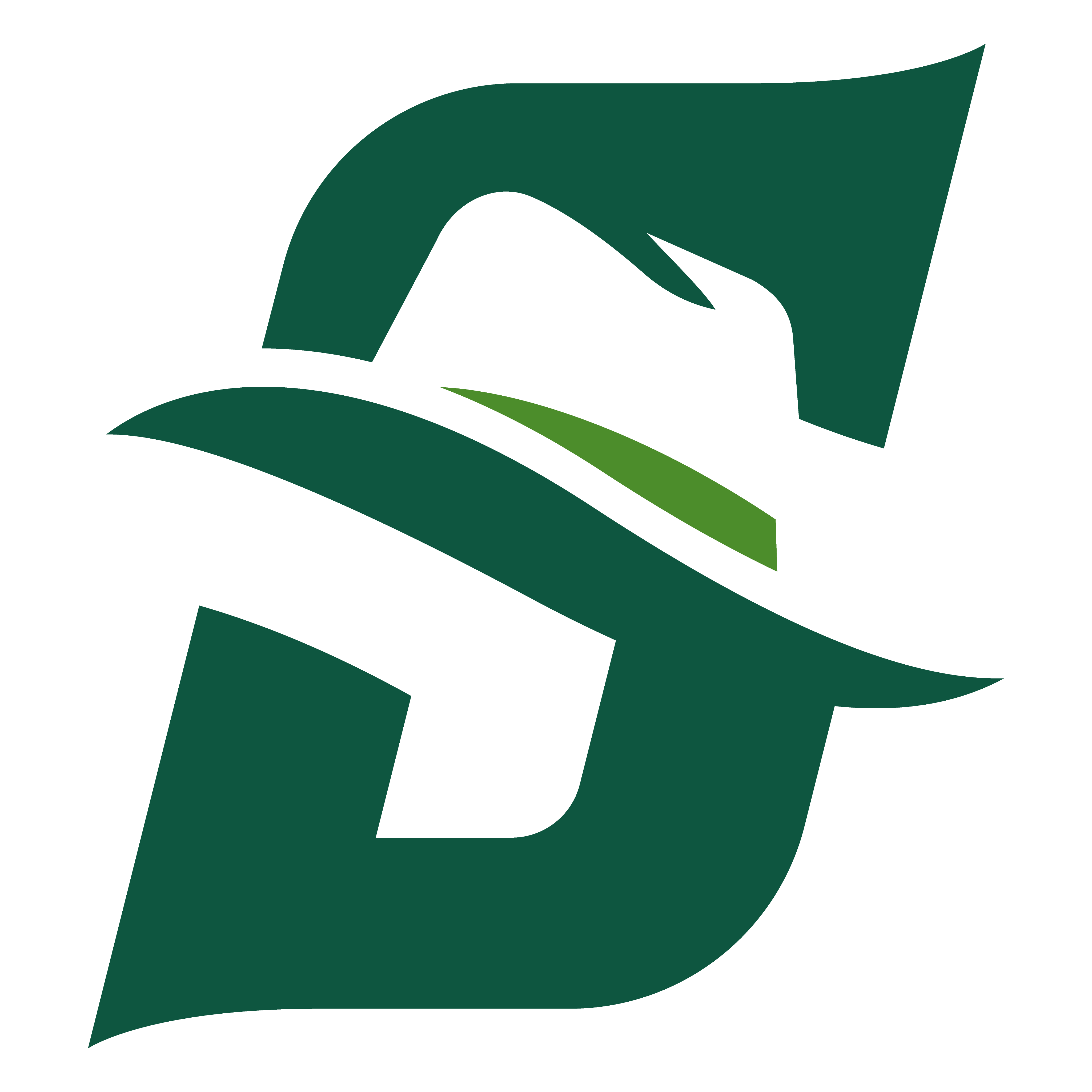 Stetson Hatters logo